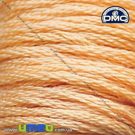 Муліне DMC 3856 Червоне дерево, ультра св. (DMC-006286)