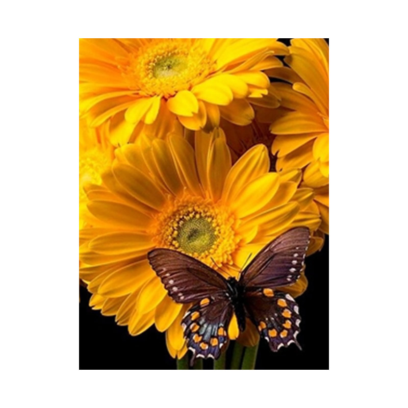 Набір алмазного живопису на підрамнику 50х40 см, Єднання (SXM-056368)