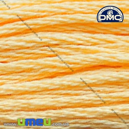 Мулине DMC 3855 Золотая осень, св. (DMC-006285)