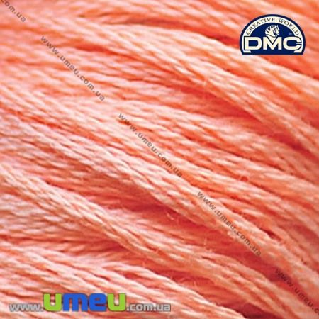 Муліне DMC 3824 Абрикосовий, св. (DMC-006254)