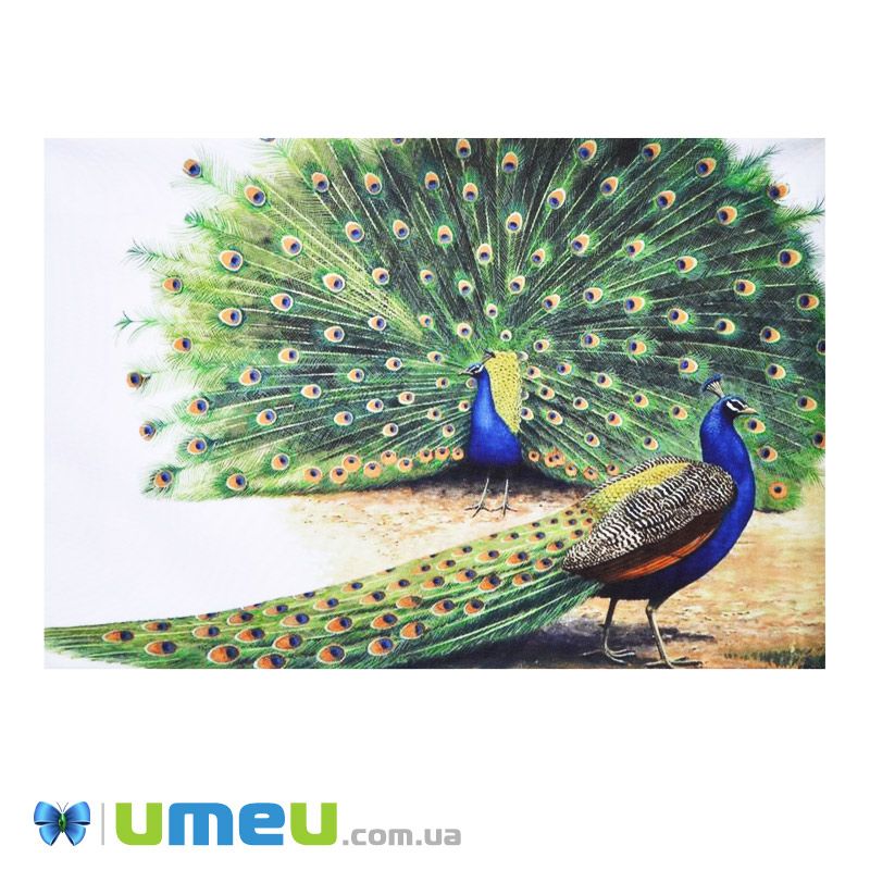 Принт для вишивання стрічками, 40х28 см (UPK-049888)