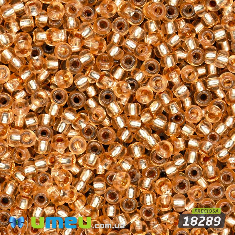 Бісер чеський №472/18289, Помаранчевий, Блискучий, 10/0 (BIS-047738)