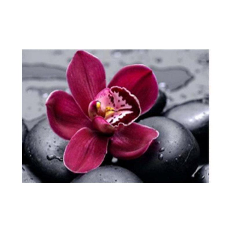 Набір алмазного живопису на підрамнику 30х40 см, Орхідея (SXM-059094)