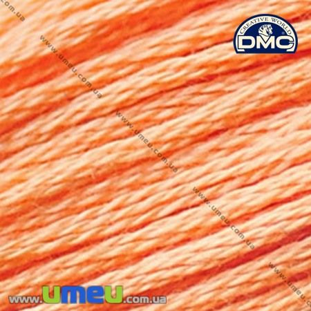 Муліне DMC 3825 Гарбузовий, блідий (DMC-006255)