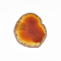 Срез Агата без отверстия, Красно-коричневый, 58х50 мм (POD-012011)