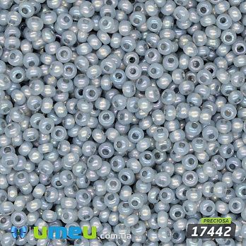 Бісер чеський №792/17442, Сірий АВ, 10/0 (BIS-043901)
