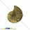 /ru/p31643-ammonit-okameneliy-21x17x5-4-mm/