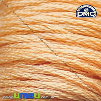 Муліне DMC 3856 Червоне дерево, ультра св. (DMC-006286)