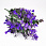 /ru/p54058-vetka-samshita-34-sm-fioletoviy/