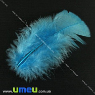 Пір'я Індички, Блакитні, 7-12 см (PER-001770)