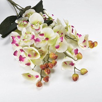 Букет орхідей, 70 см, Кремово-бузковий (DIF-062132)