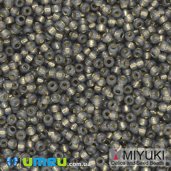 Бісер японський Miyuki круглий RR 11/0 №650, Сірий (BIS-039966)