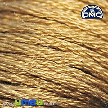 Муліне DMC 3828 Фундук (DMC-006258)