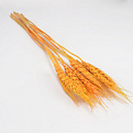 Колоски пшениці, 60 см, Помаранчеві (DEC-062773)