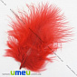 Пір'я Індички, Червоні, 4-9 см (PER-002770)
