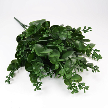 Ветка эвкалипта, 38 см, Зеленая (DEC-054094)