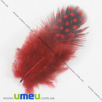 Перья Цесарки, Красные, 5-8 см (PER-002629)