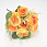 /ru/p62176-buket-roz-s-dobavkami-evkalipta-33-sm/