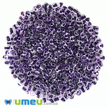 Бісер китайський великий, 6/0, Фіолетовий забарвлений, 4 мм (BIS-037732)