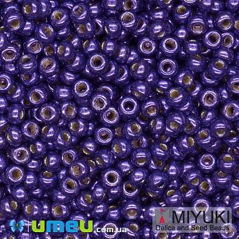 Бісер японський Miyuki круглий RR 11/0 №5110 Duracoat Galvanized, Бузковий (BIS-045726)