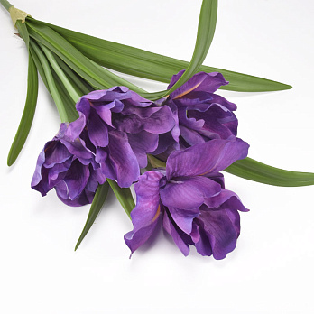 Букет ірисів, 63 см, Фіолетовий (DIF-062127)