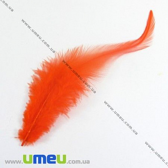 Пір'я Півня, Помаранчеві, 7-12 см (PER-002614)