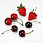 /p62785-nabor-yagod/