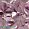 /ru/p41826-payetki-indiya-listiki-15x14-mm-malinovie/