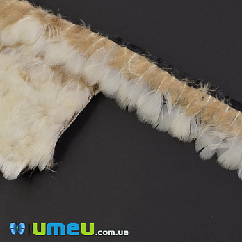 Перья фазана на ленте, 4-5 см, Бежевые натуральные (PER-040429)