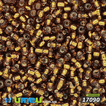 Бісер чеський №313 / 17090, Коричнево-золотий, Блискучий, 10/0 (BIS-003783)