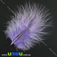 Пір'я Індички, Бузкові, 4-9 см (PER-002775)