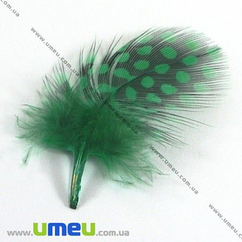 Перья Цесарки, Зеленые, 5-8 см (PER-002633)