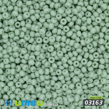 Бісер чеський №242/03163, Зелений світлий, Натуральний, 10/0 (BIS-014141)