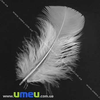 Пір'я Індички, Білі, 7-12 см (PER-001773)