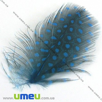 Перья Цесарки, Синие, 5-8 см (PER-002634)