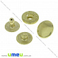 Кнопка альфа (пробивная) металлическая, Золото, 12 мм, 1 шт (SEW-023993)