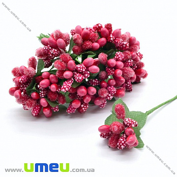 Тичинки на дроті, Коралові (DIF-015431)