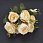 /ru/p62184-buket-pionov-s-romashkami-32-sm/