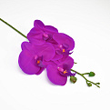 Ветка орхидеи, 70 см, Малиновая (DIF-057797)