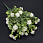/ru/p62153-buket-samshita-s-cvetkom-37-sm/