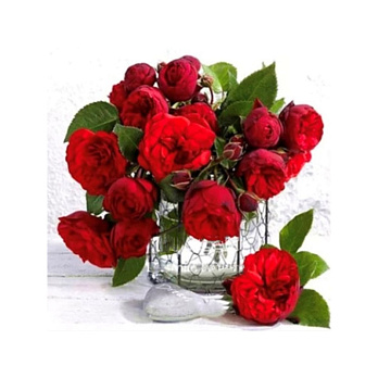 Набір алмазного живопису на підрамнику 30х30 см, Червоні троянди (SXM-059083)