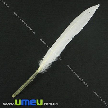 Пір'я Гусячі, Білі, 10-13 см (PER-002619)