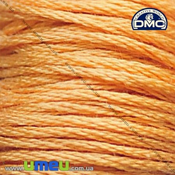 Муліне DMC 3827 Золотовато-коричневий, блідий (DMC-006257)