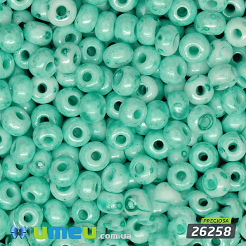 Бісер чеський 4/0, №26258, Зелена акварель, мольфар (BIS-034263)