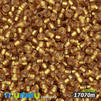 Бісер чеський №312m/17070m, Золото, Блискучий матовий, 10/0 (BIS-019536)