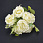 /ru/p62175-buket-roz-s-dobavkami-evkalipta-33-sm/