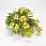 /ru/p59313-buket-margaritok-36-sm/