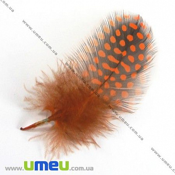 Перья Цесарки, Оранжевые, 5-8 см (PER-002632)
