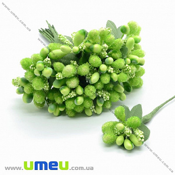 Тичинки на дроті, Салатові (DIF-015438)