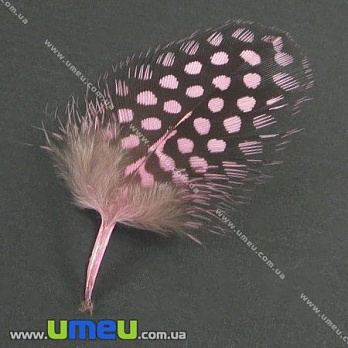 Перья Цесарки, Розовые, 5-8 см (PER-002630)